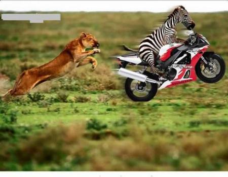 peur de mourire
