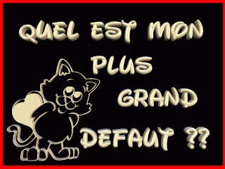 moi plus grand defaut